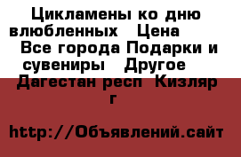 Цикламены ко дню влюбленных › Цена ­ 180 - Все города Подарки и сувениры » Другое   . Дагестан респ.,Кизляр г.
